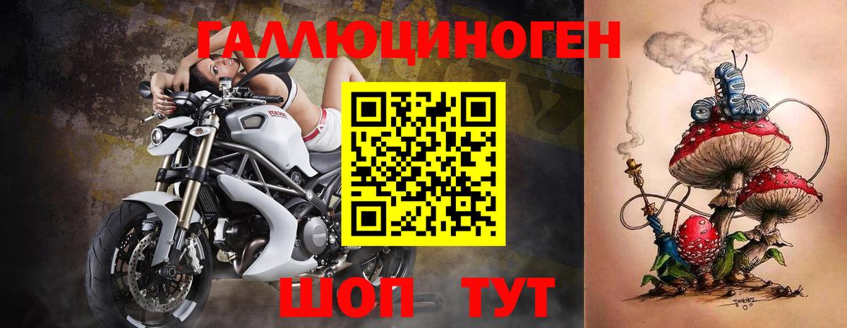 Псилоцибиновые грибы Psilocybine cubensis Великий Устюг